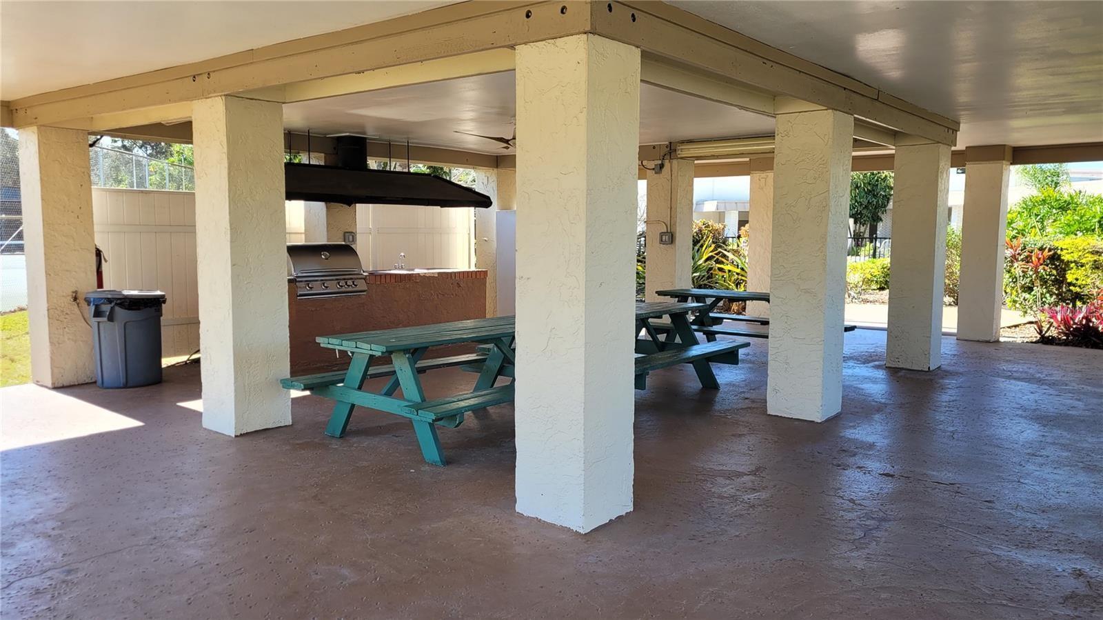 Outdoor kitchen and picnic area