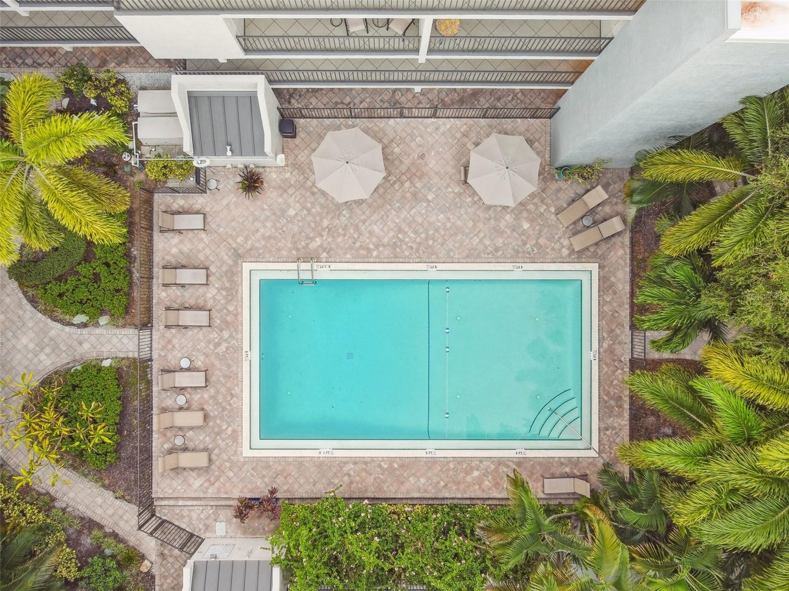 Aerial of the Pool