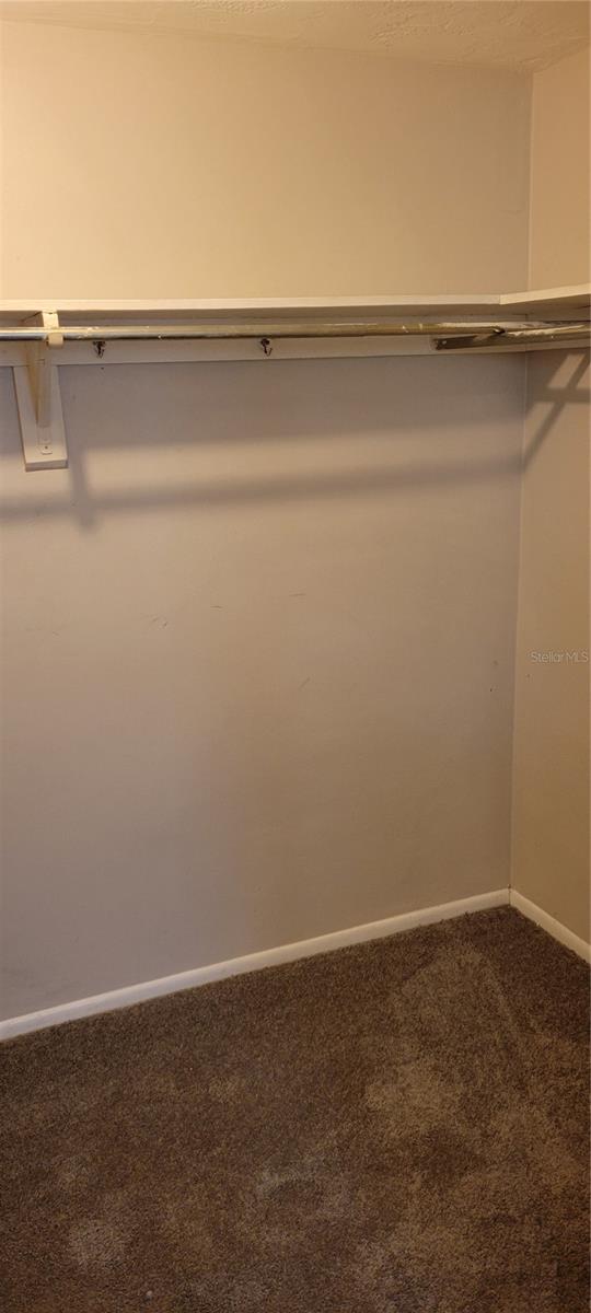 Walk in closet in bedroom