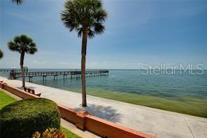 Open Water Views on Tampa Bay