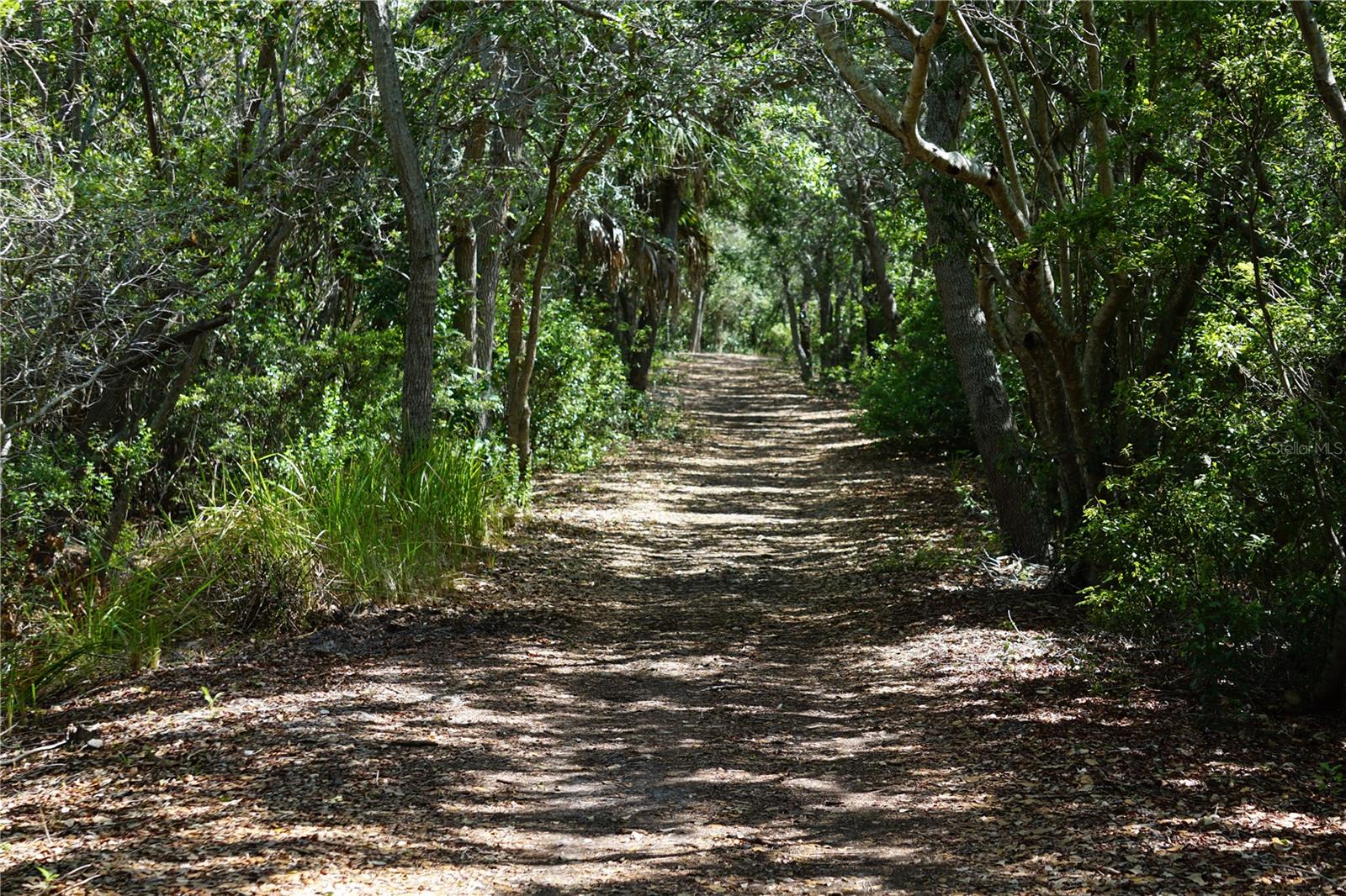 The Shores of Long Bayou nature trail
