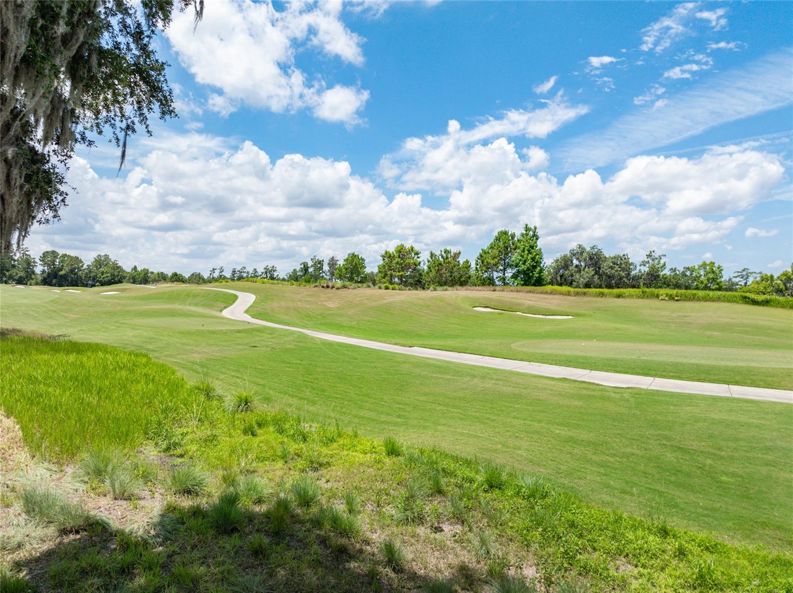 Backyard view of golf course