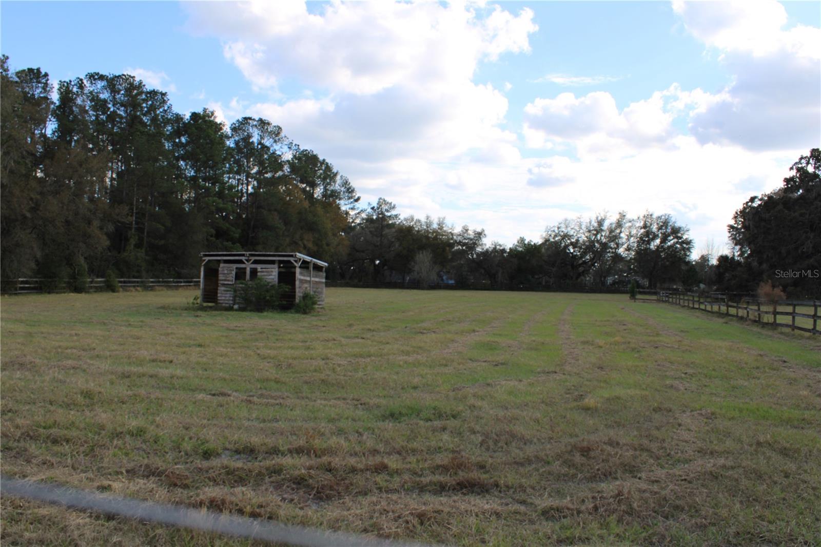 Back Paddock with loafing shed