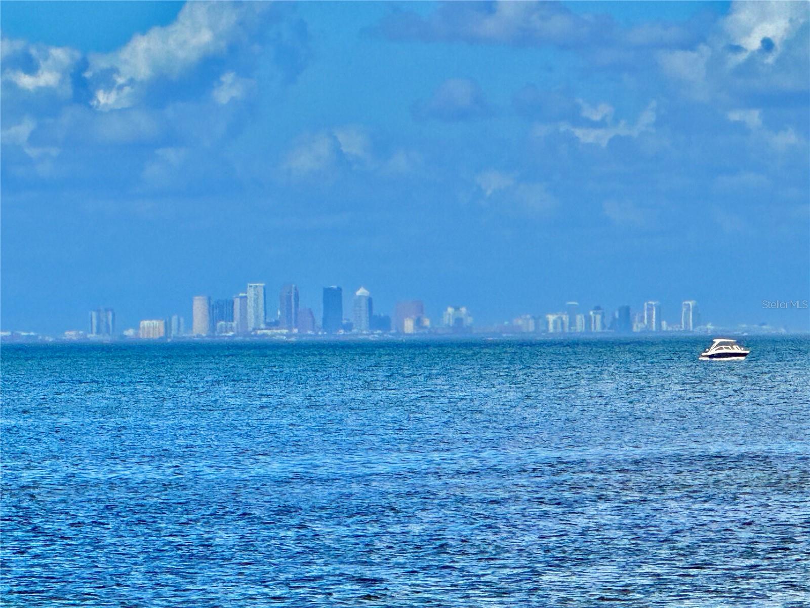 View of Tampa Bay from the conservation park