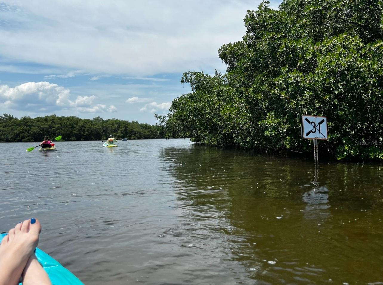 So many great locations for Kayaking, Canoeing, or Paddleboarding!