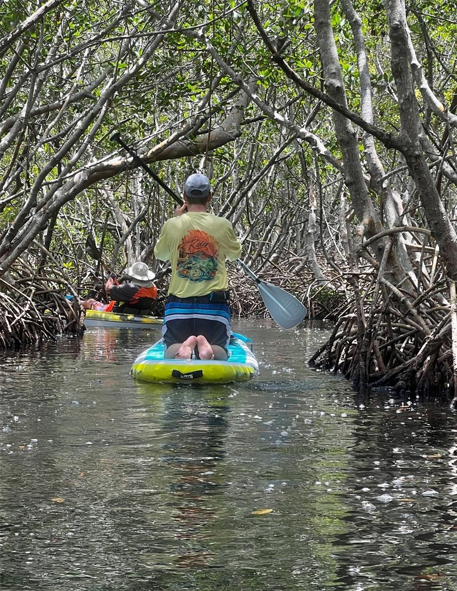 Wheedon Island has mangrove trails with trailmarkers!