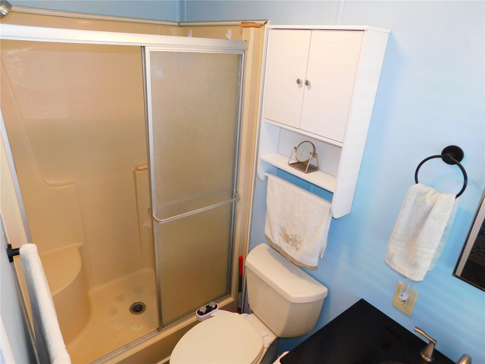 Primary Bathroom with step in shower