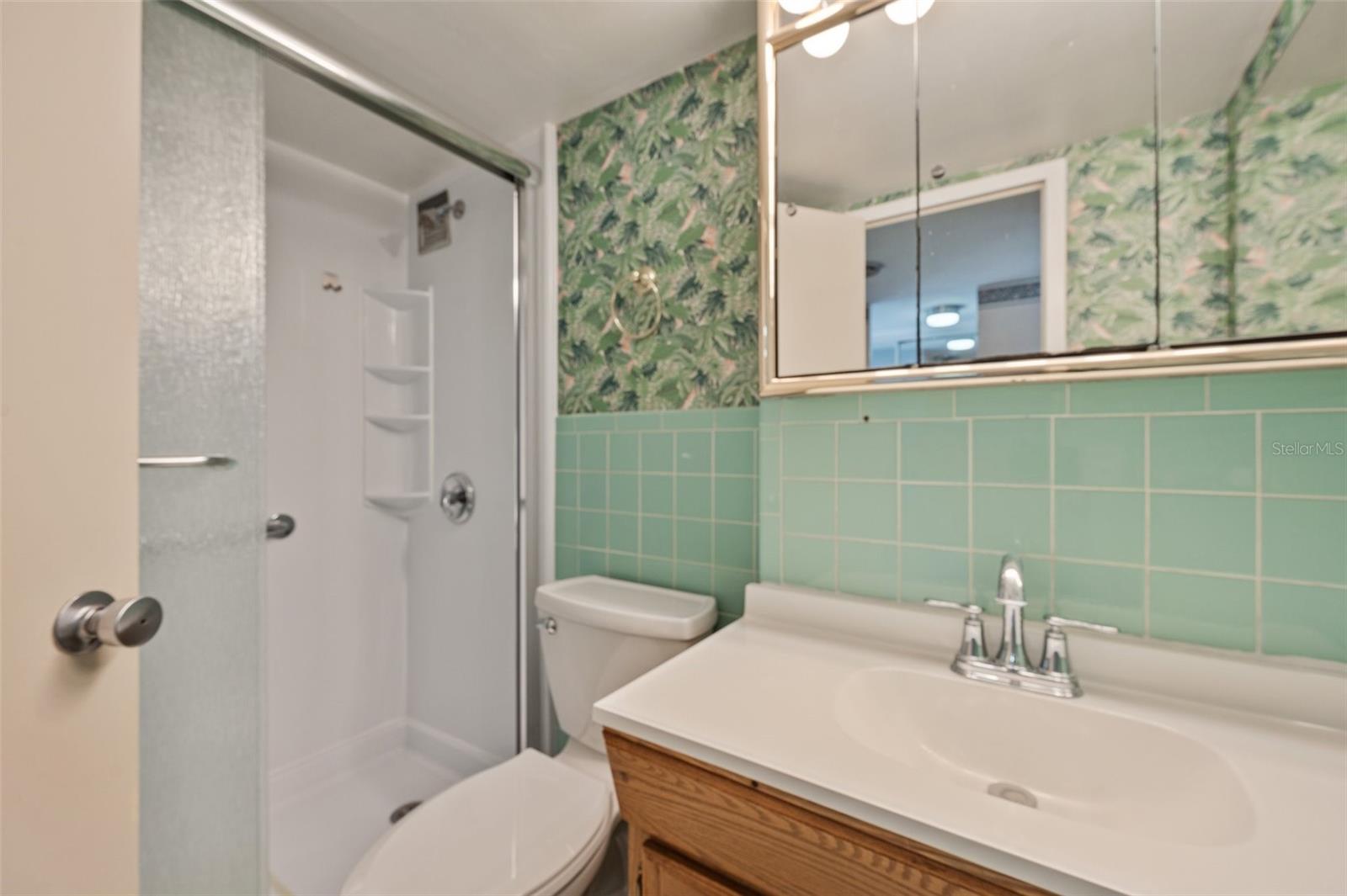 Master Bath with updated shower