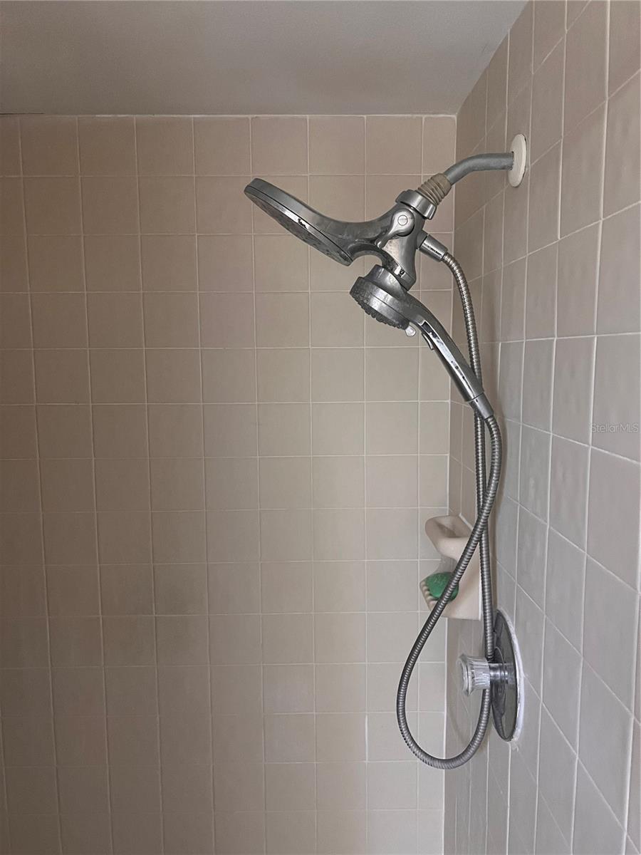 Shower in the master