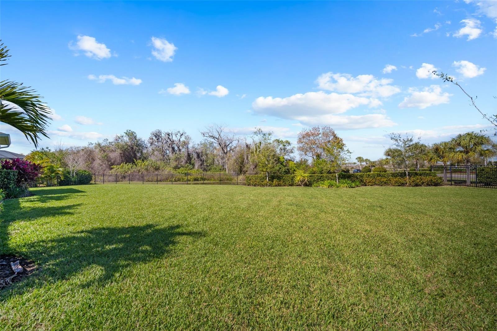 Huge fenced-in backyard. The lot is almost 1/3 acre.