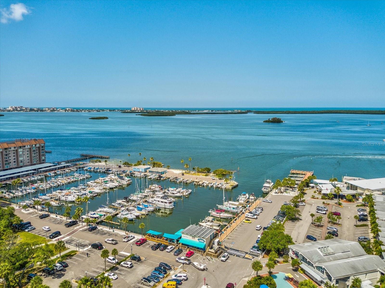Gorgeous Dunedin Marina looking out towards Clearwater Beach