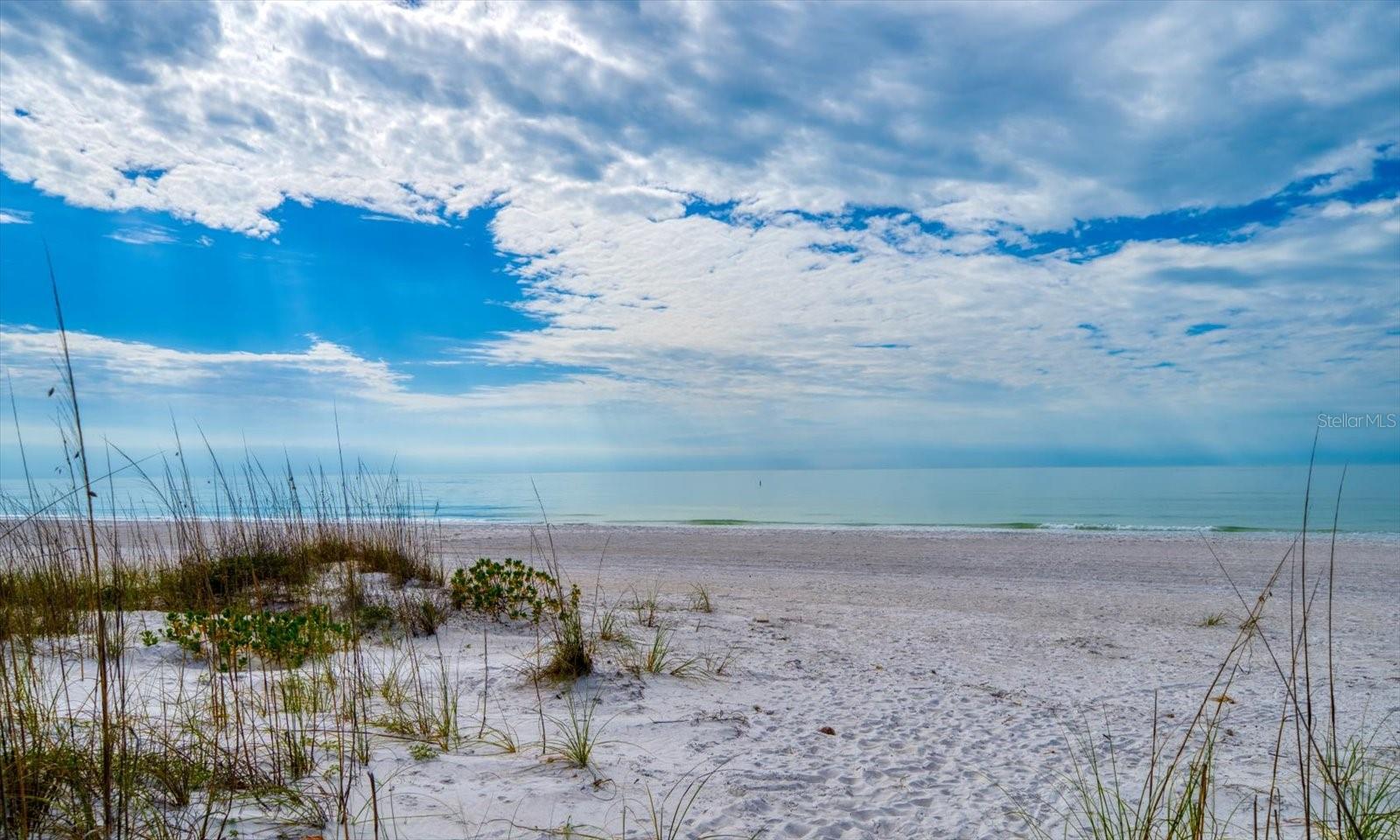Pass-A-Grille Beach steps from your front door