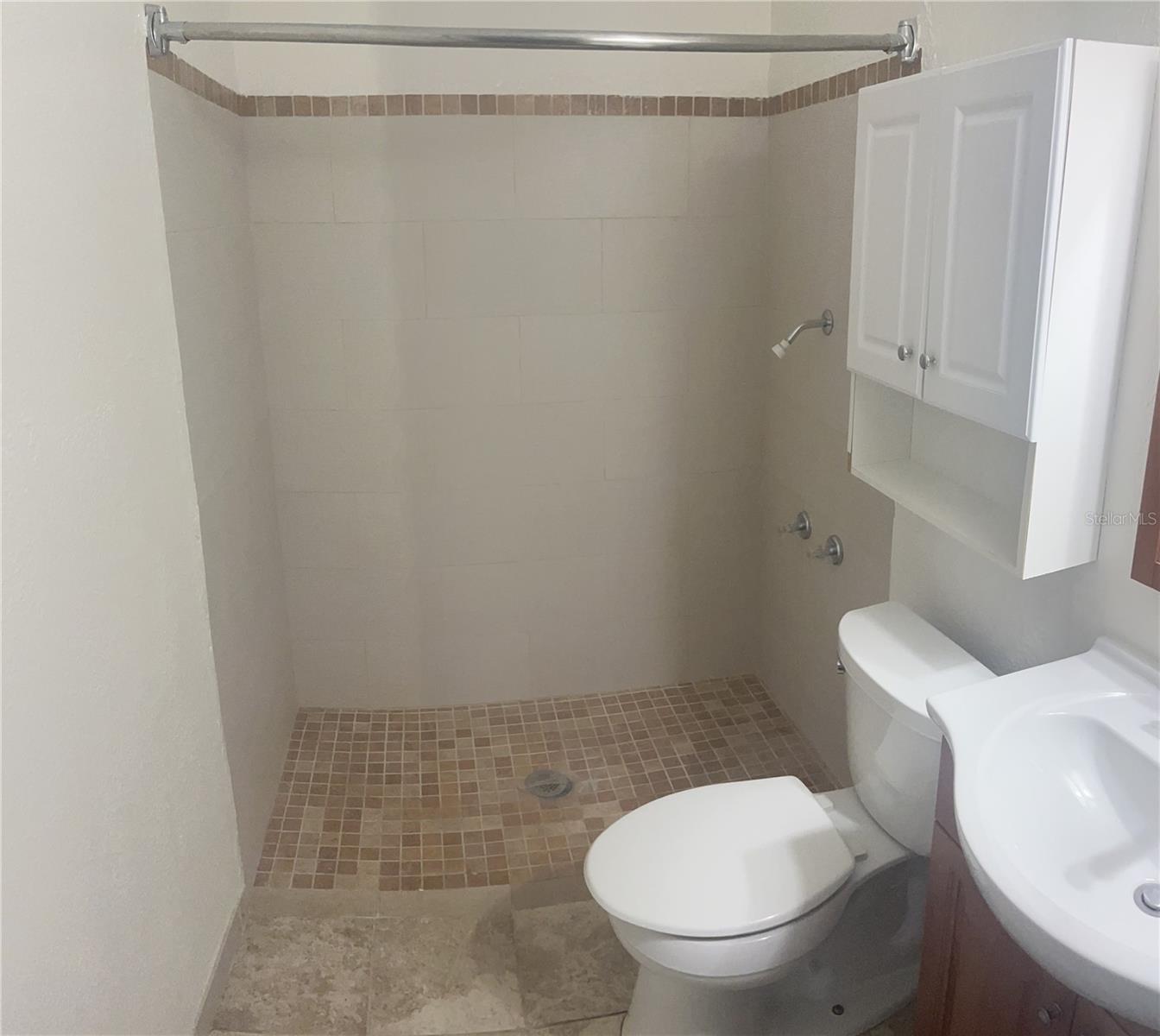 Master bathroom with curbless shower