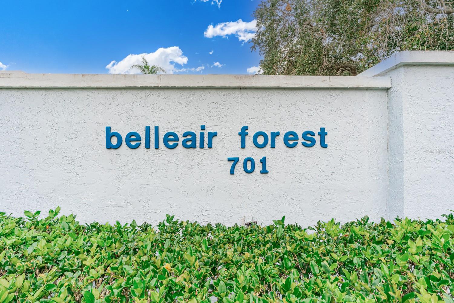 Welcome to Belleair Forest.