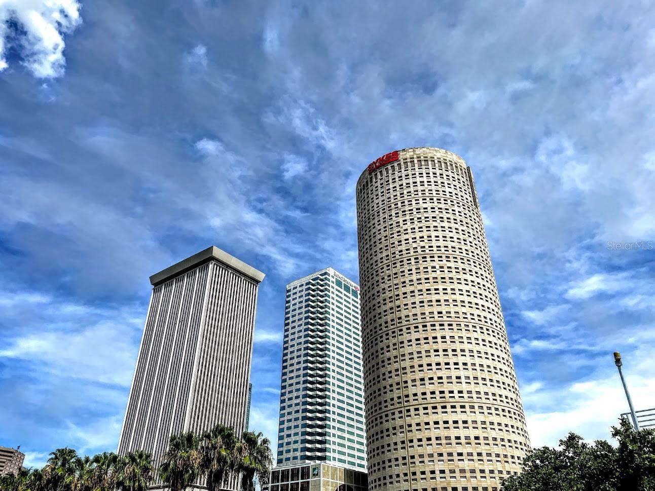 DOWNTOWN TAMPA
