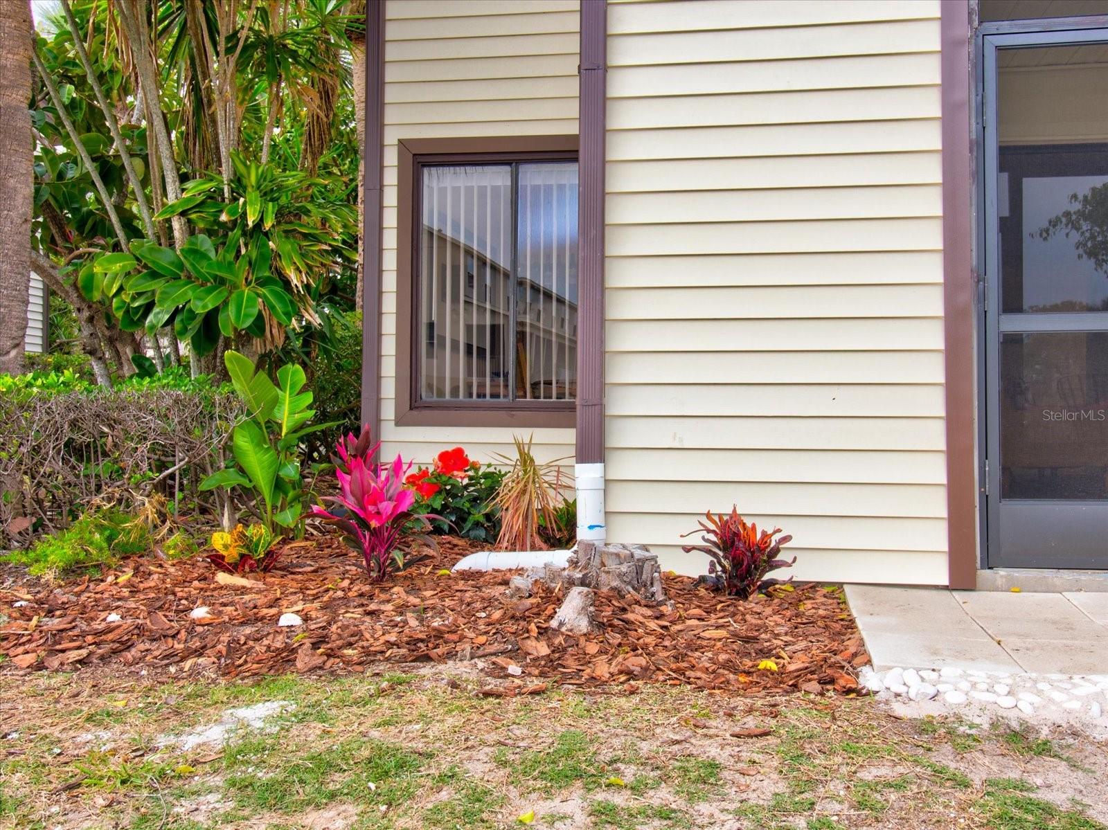 Your Personal Garden Area Right Outside Your Screened In Lanai