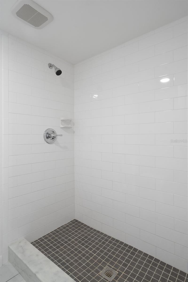 Master bath walk in shower