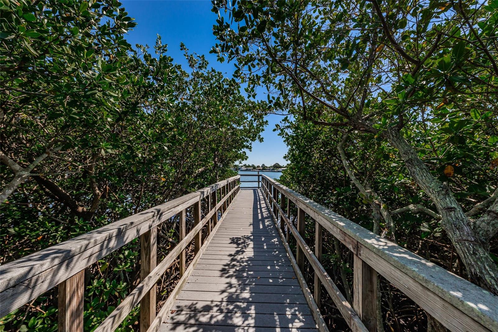 Nature Preserve Boardwalk
