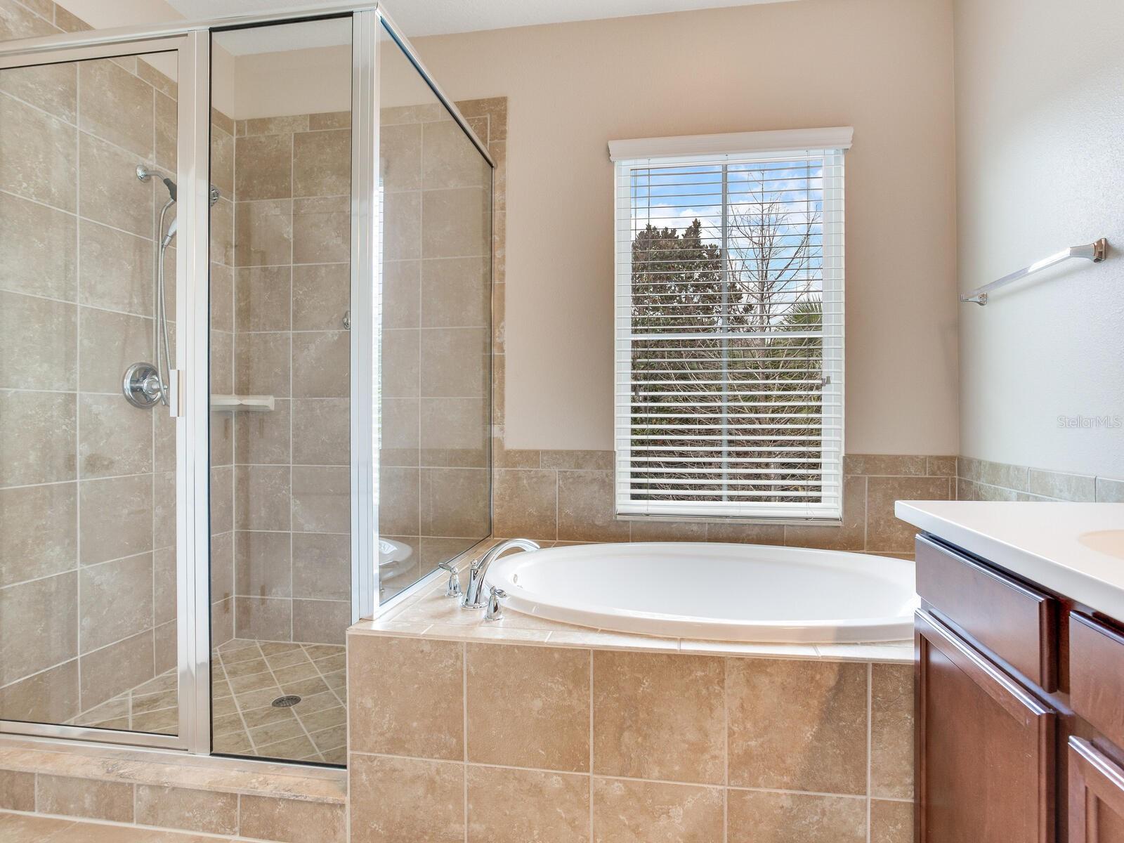 Separate Standing Shower and Garden Tub