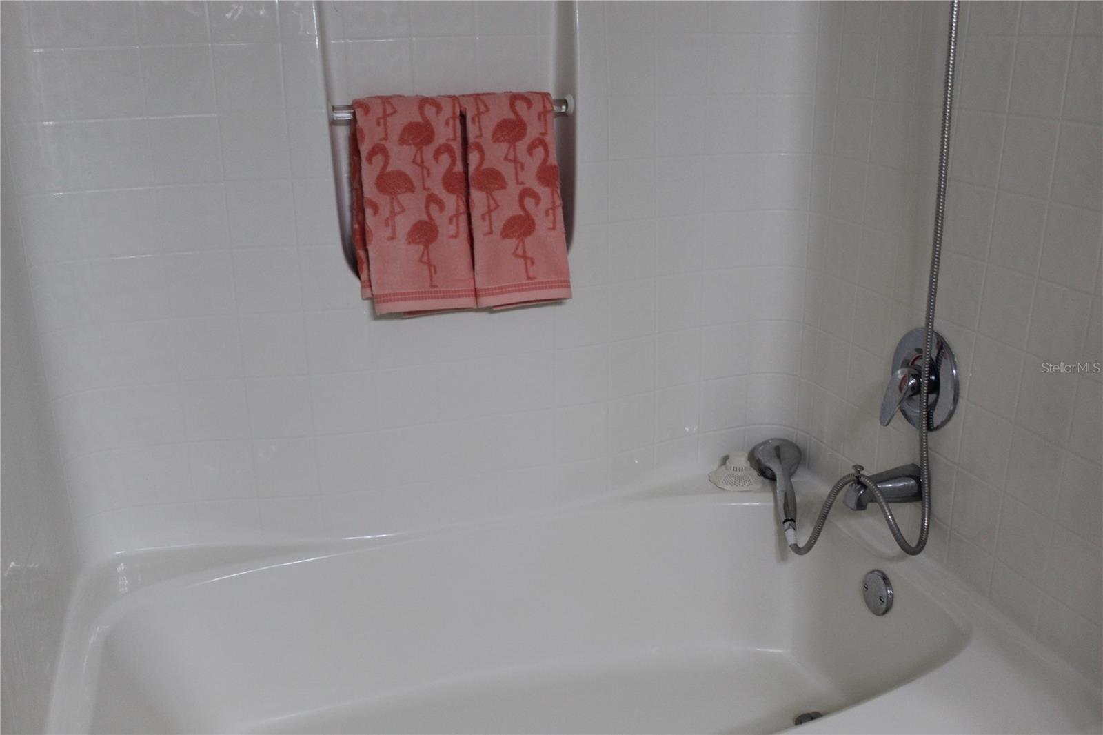 Master tub and shower