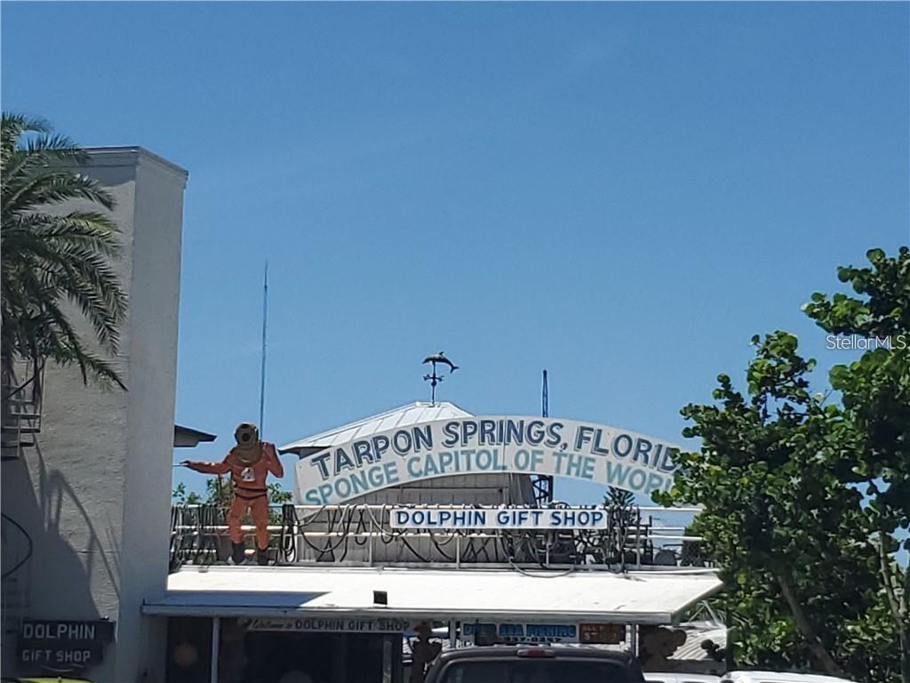 World Famous Tarpon Springs Sponge Docks