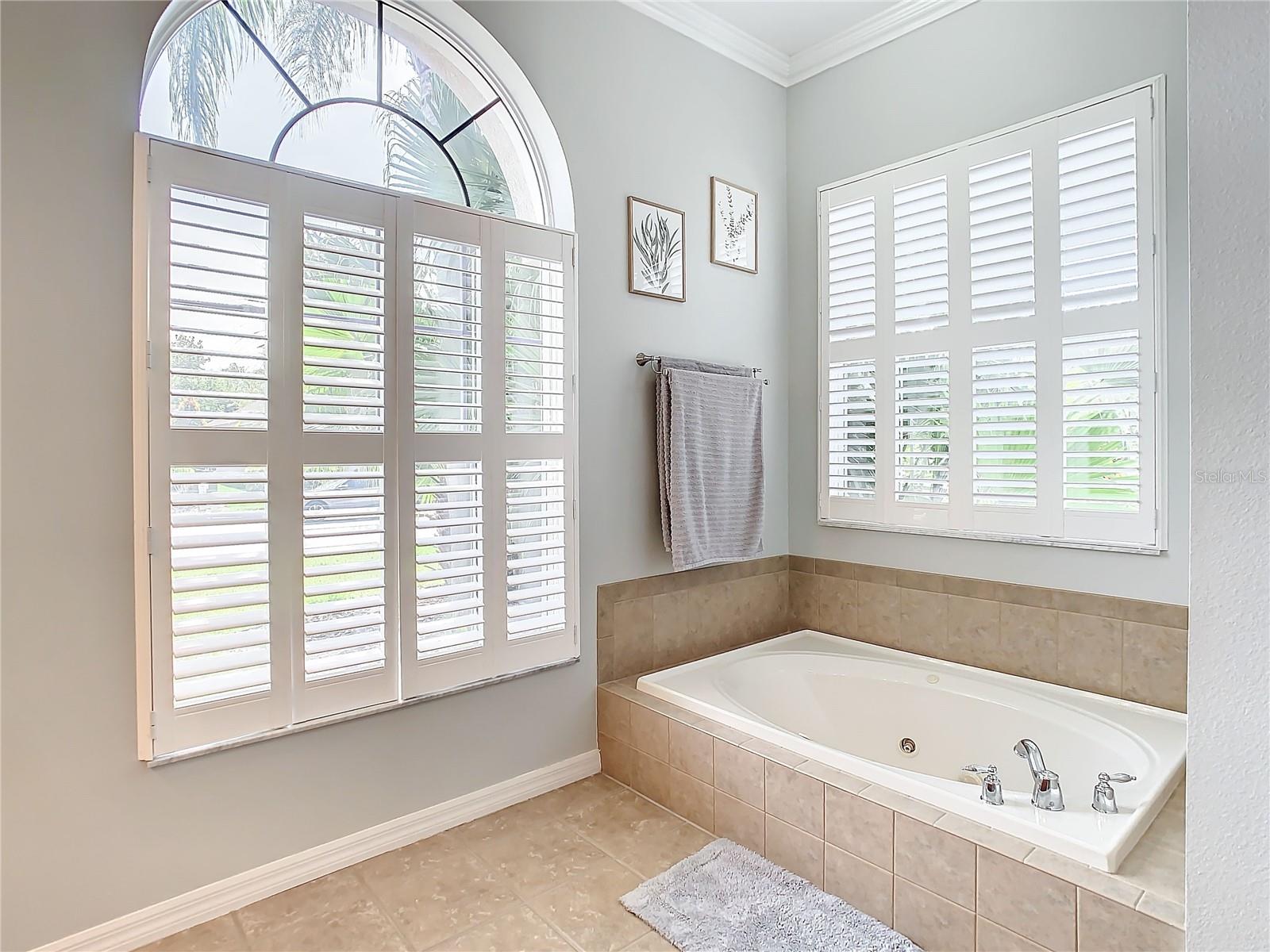 Plantaion shutters and jacuzzi tub in Master bath