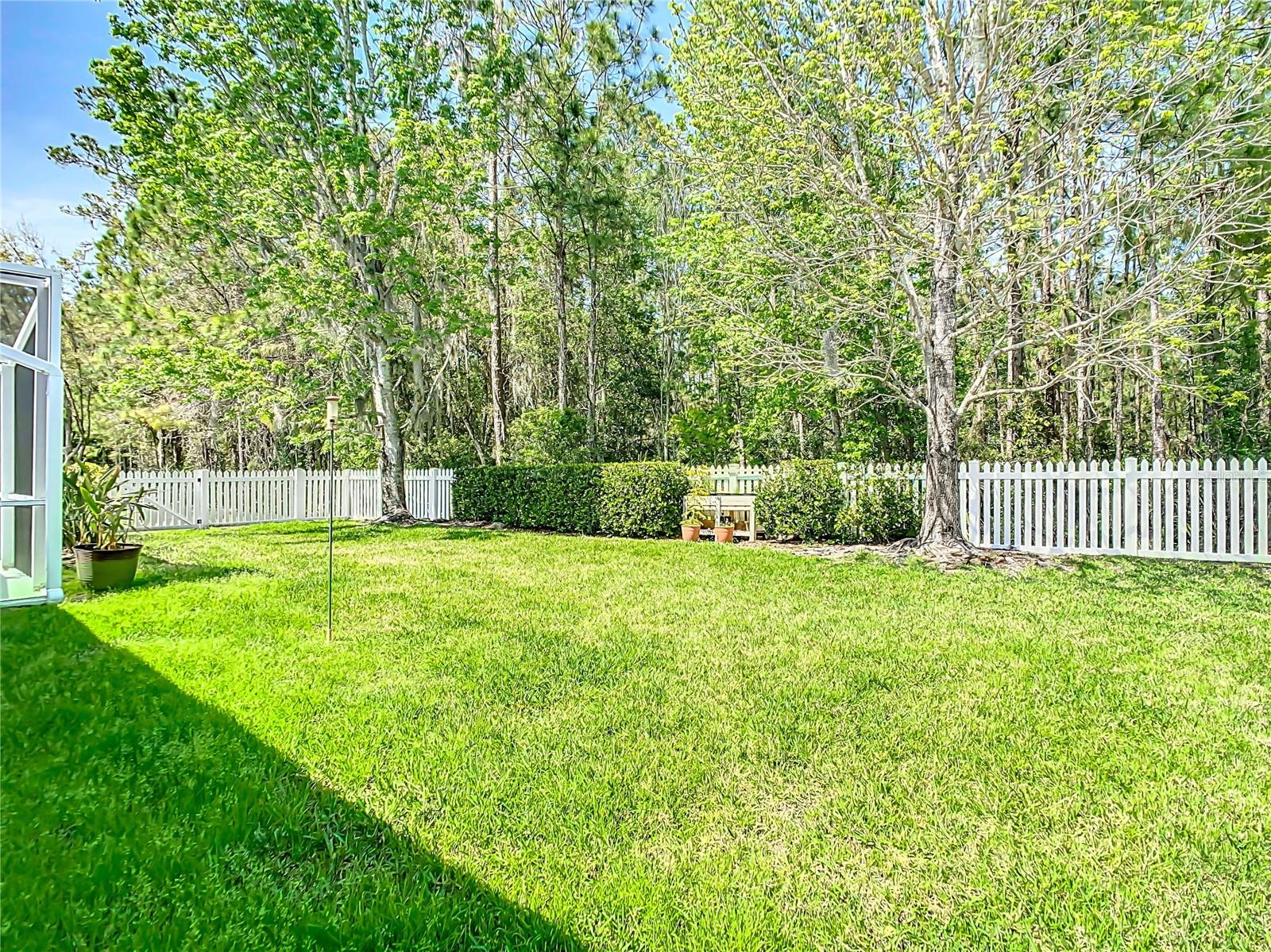 Tree lined back yard for total privacy
