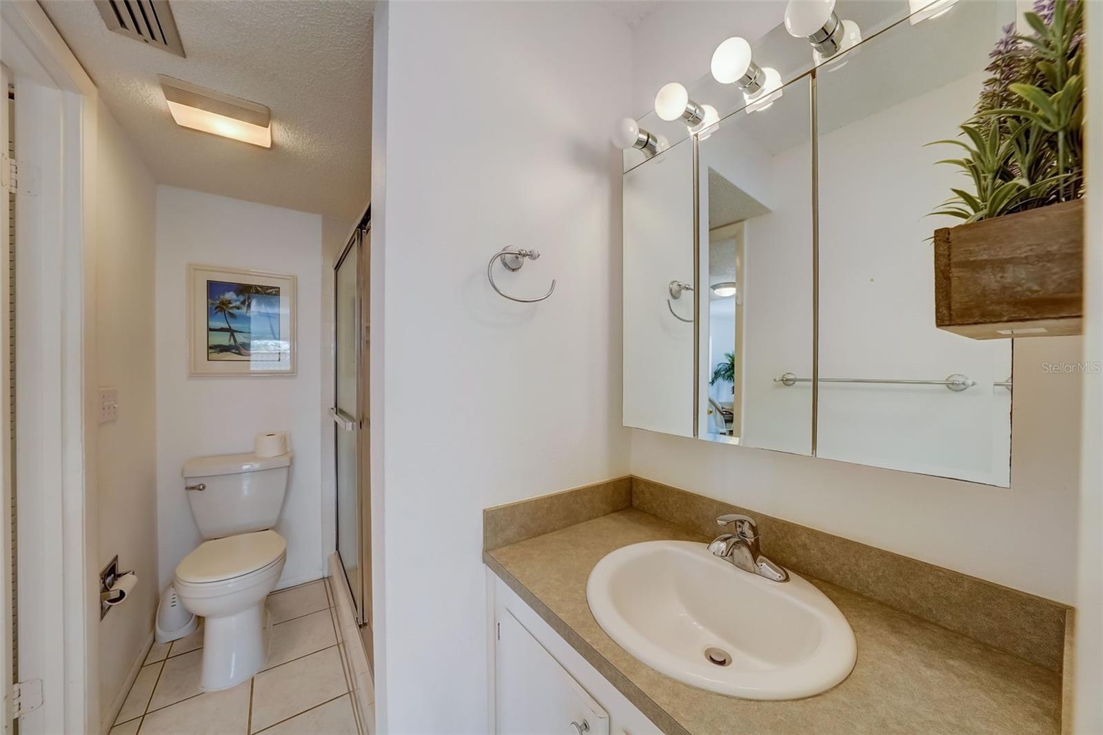 Ensuite bathroom with separate vanity area