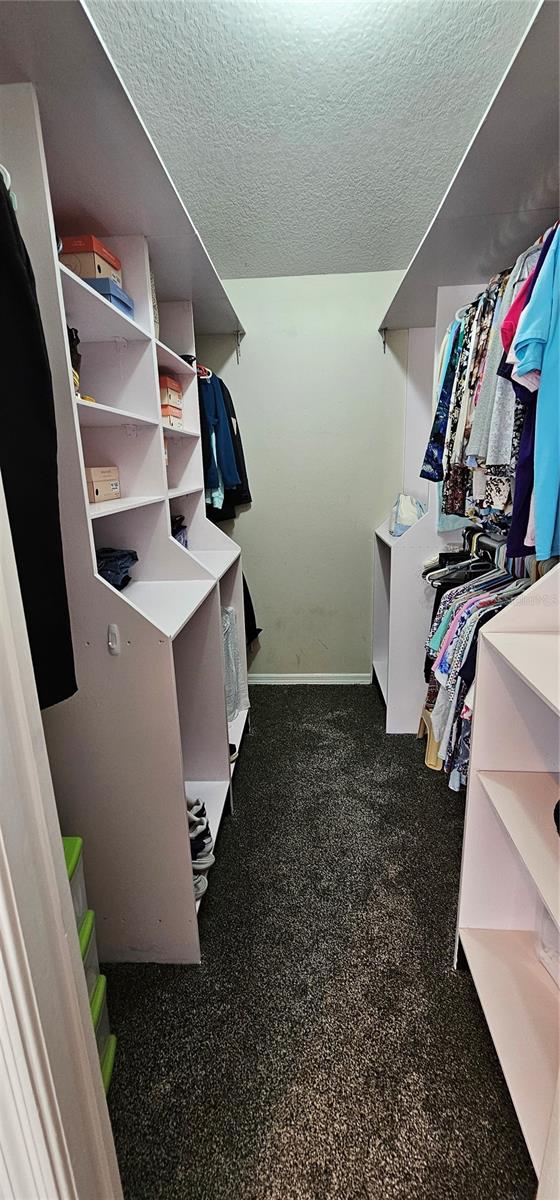 Walk in Closet with lots of shelving