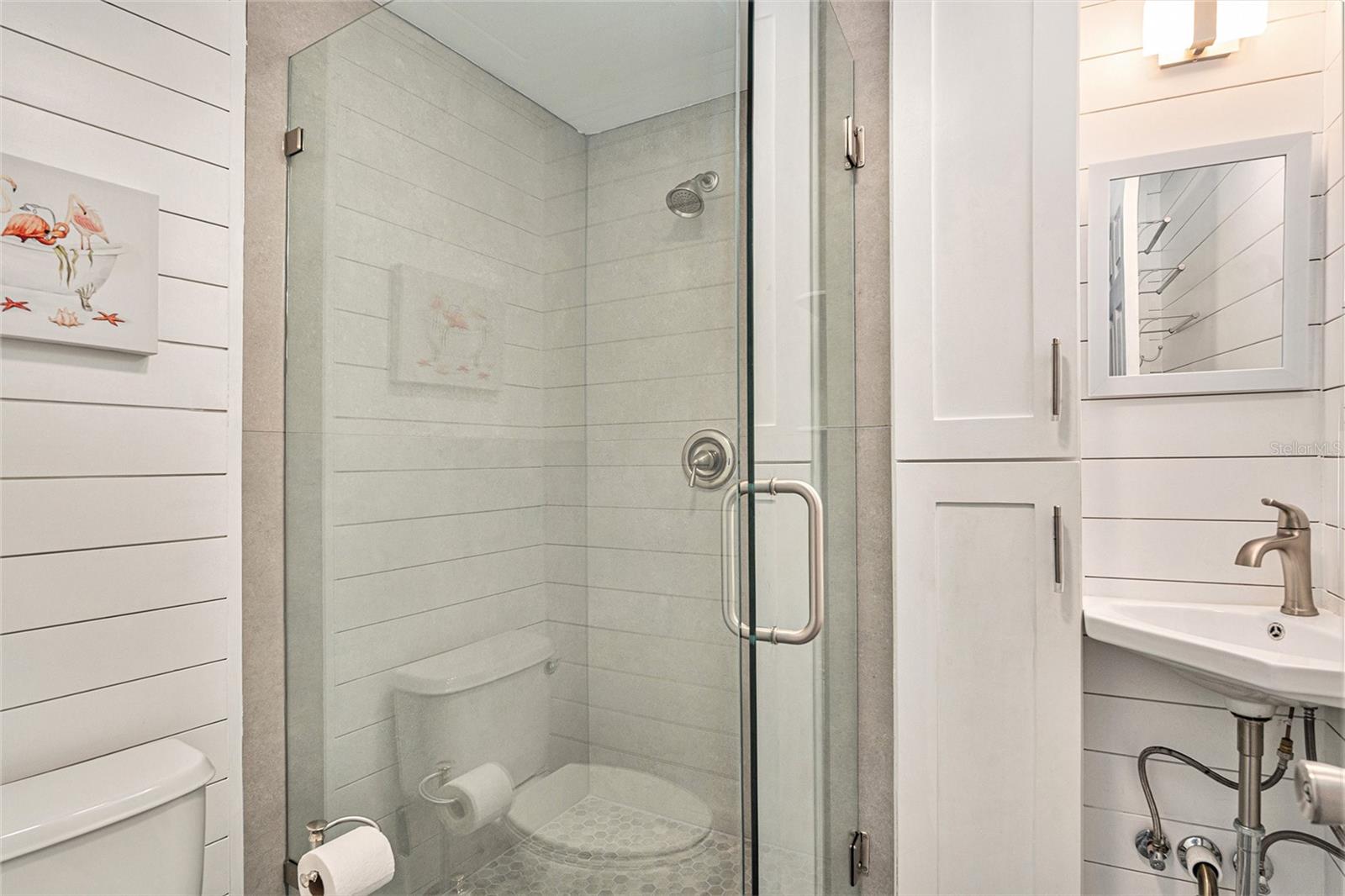 What a great guest bath complete with glass enclosed shower, sink, storage and more!