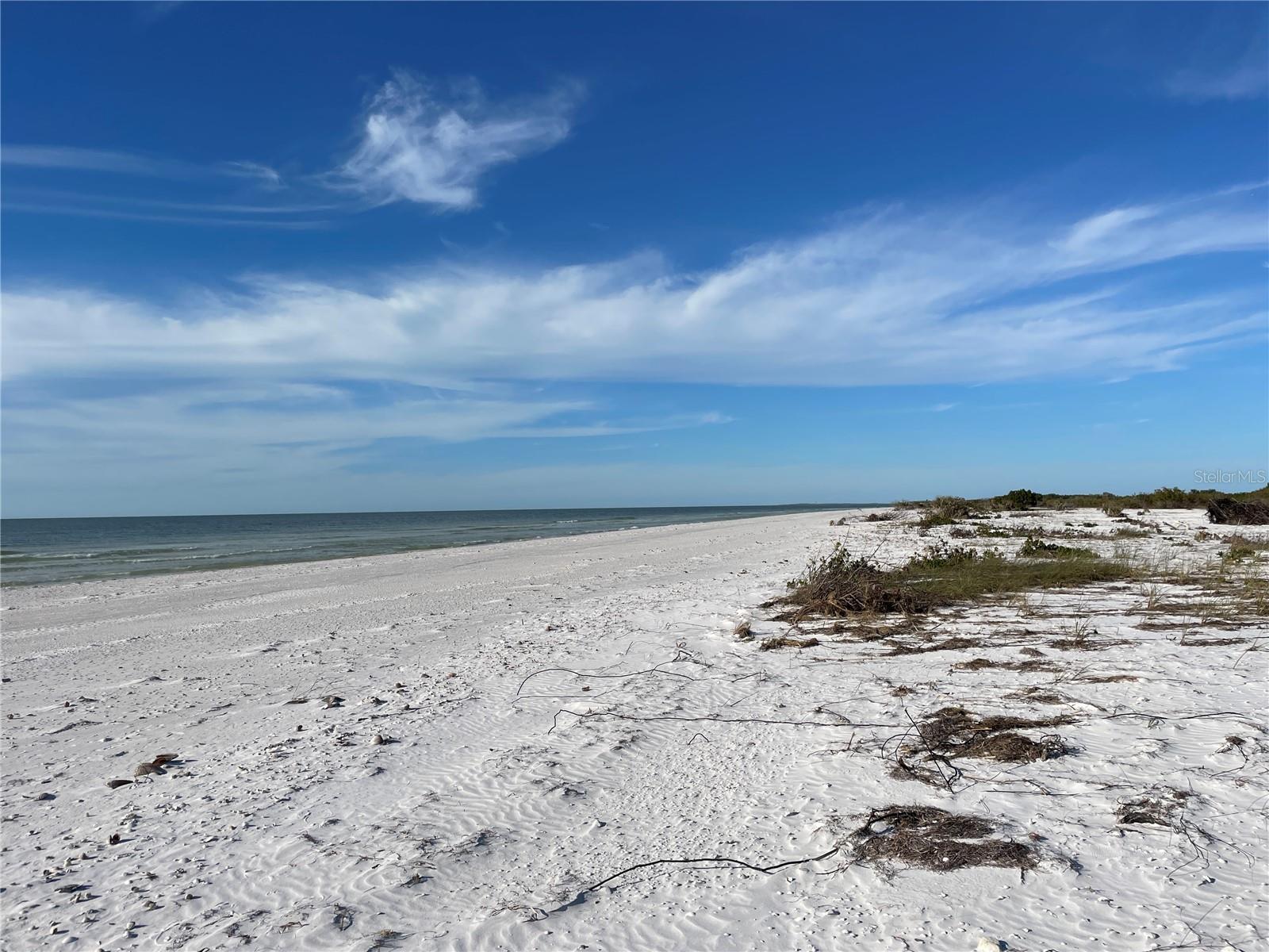Honeymoon Island has miles of beaches to relax, collect shells or take a long walk