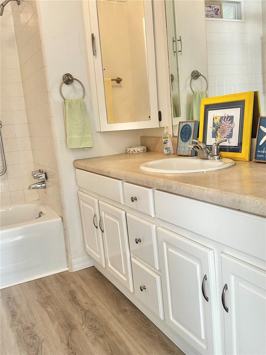 Hall Bathroom with built in medicine cabinets