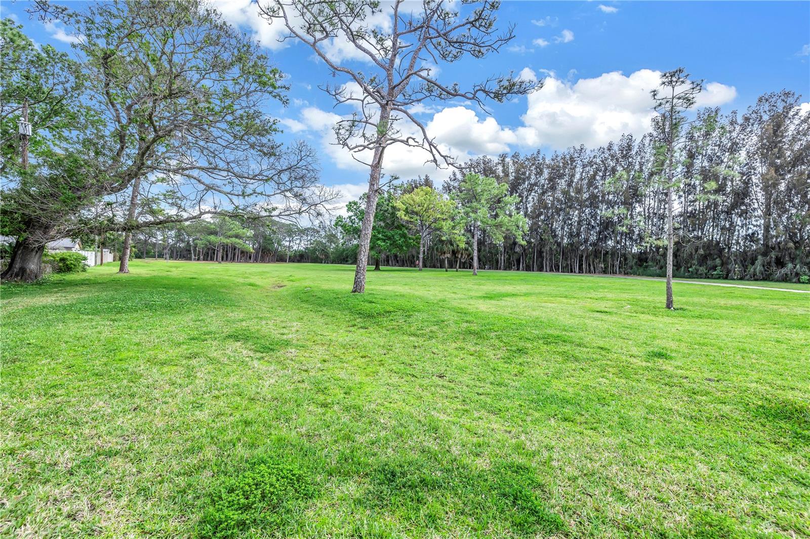 Beautiful green acreage off your backyard