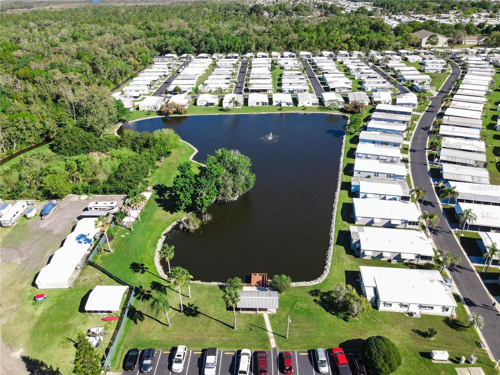 Community Pond Aerial View