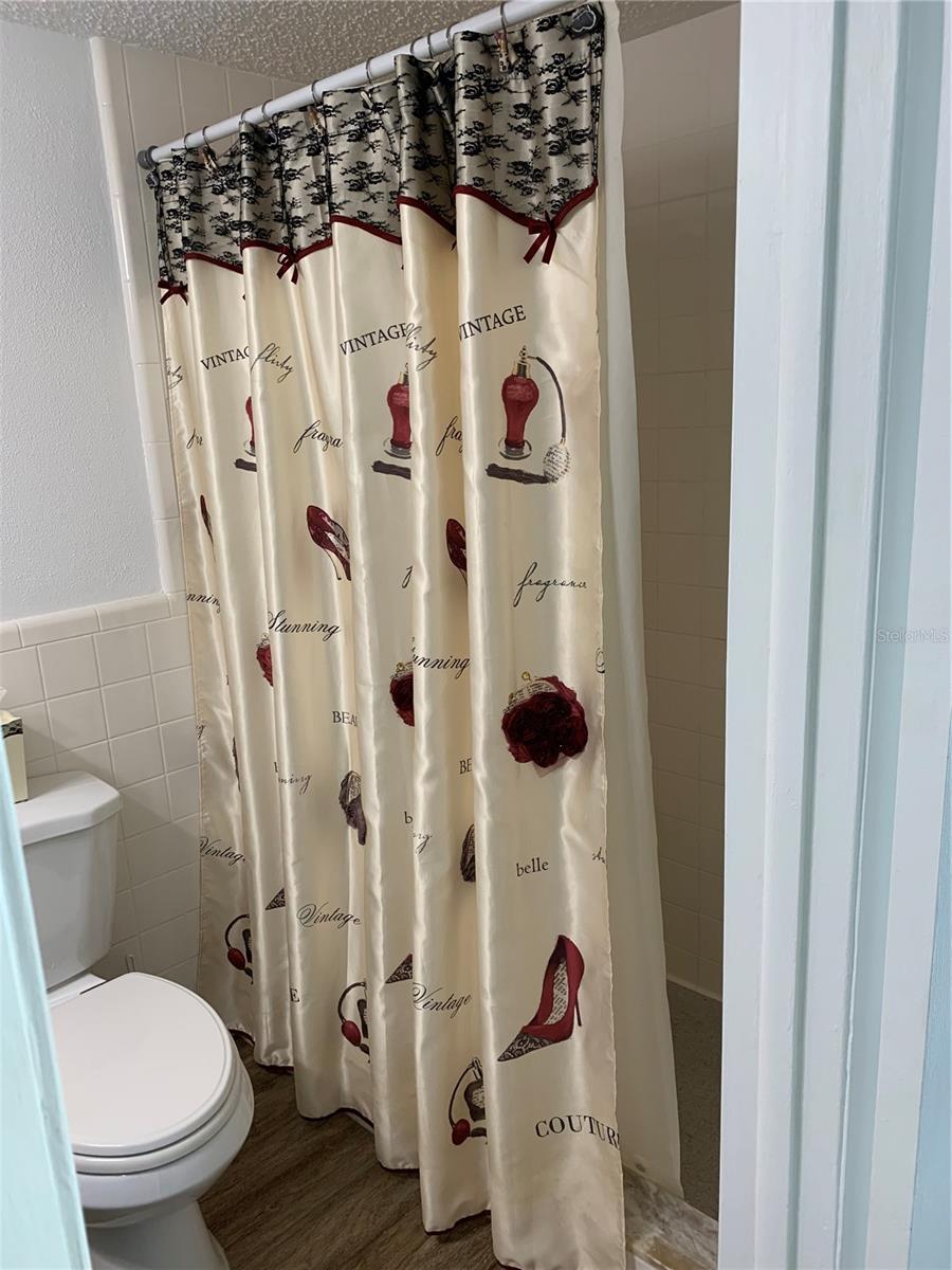First Bathroom Shower and Shower Curtain First Bathroom