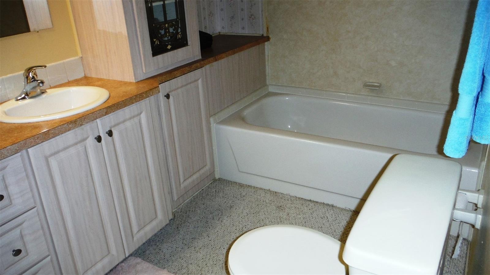 Master Bath with separate tub