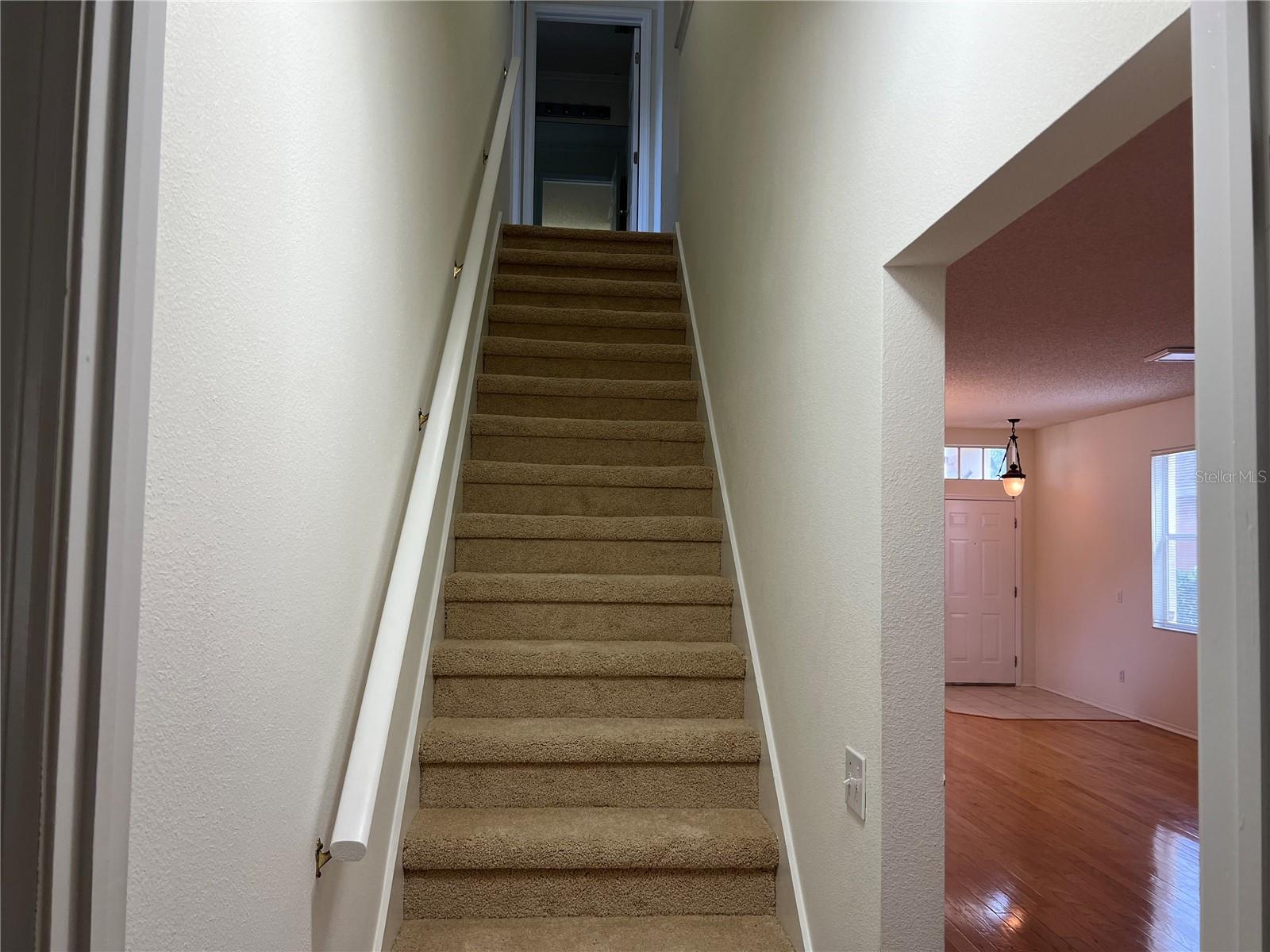 T3512489