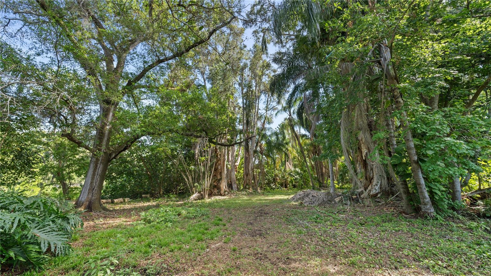 Back Area of the Property