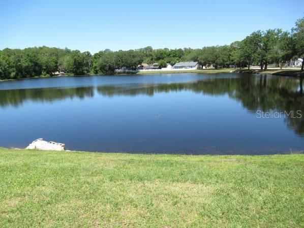 Backyard View of Pond