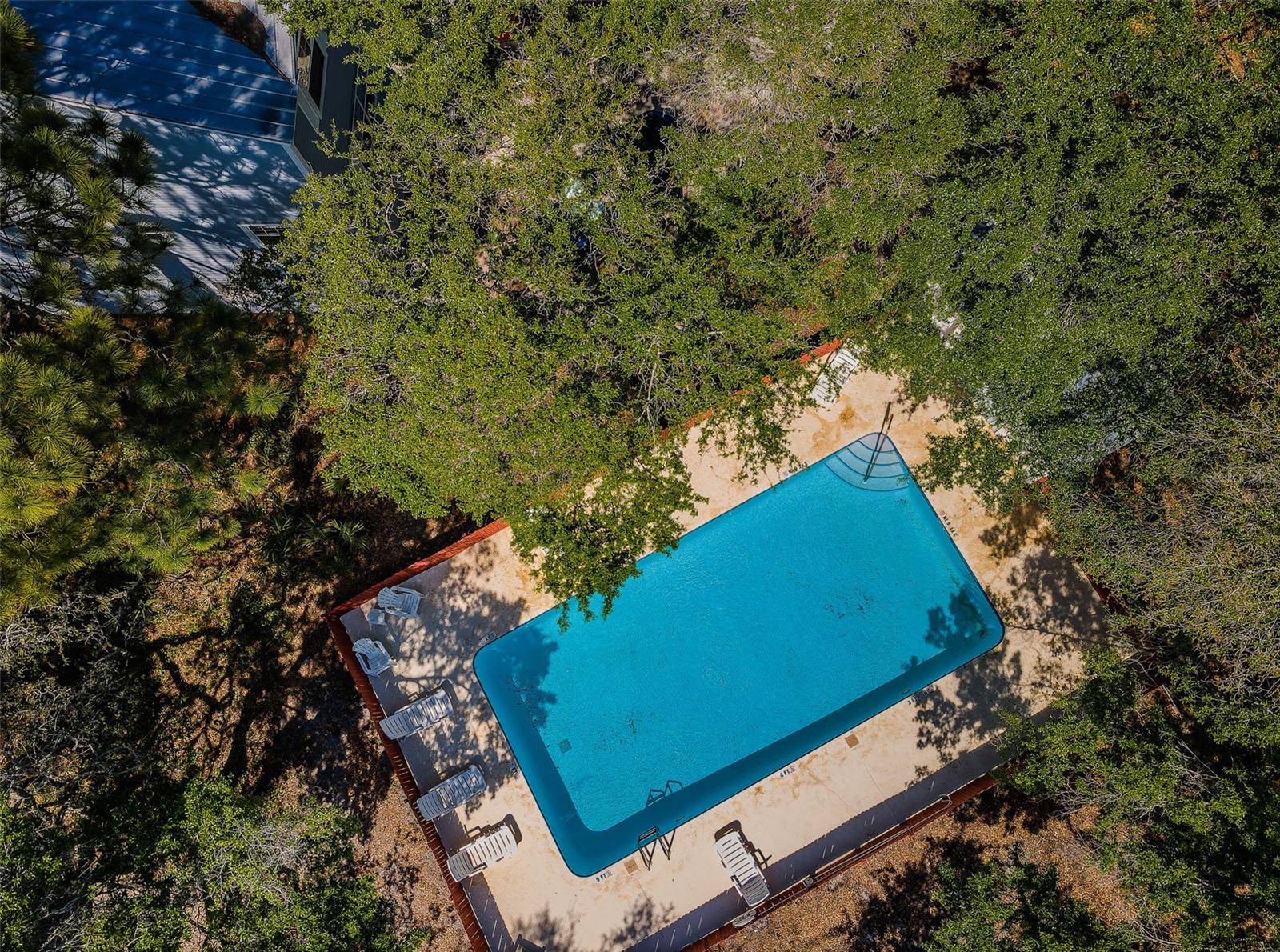 Aerial View Of Community Pool!