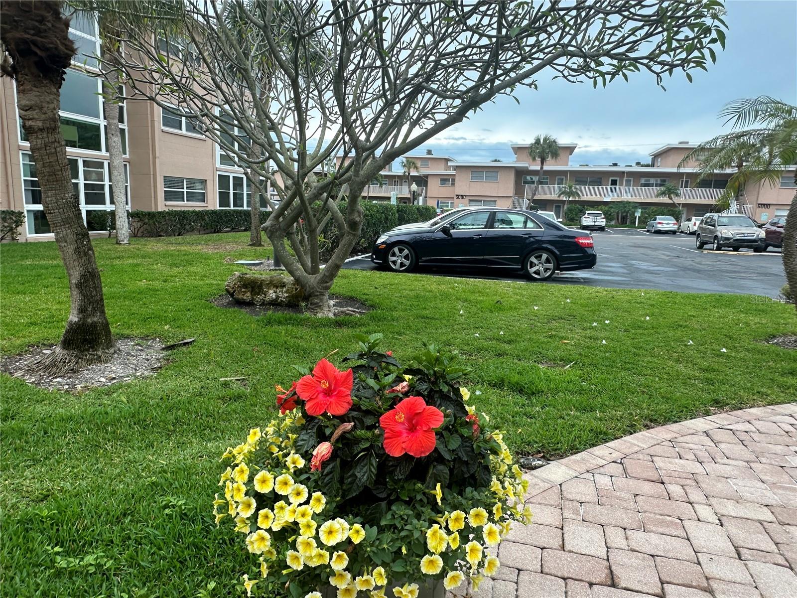 Parking spot, first spot behind the flowers.