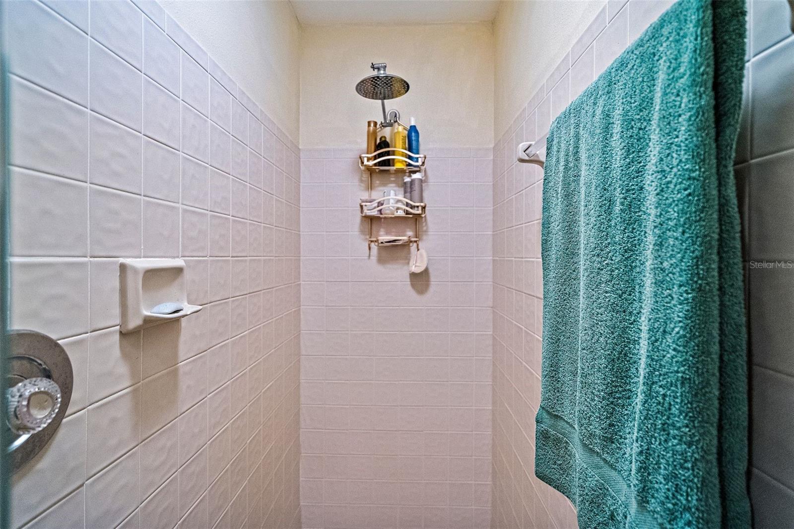Separate Walk-in Shower in the Primary Bathroom