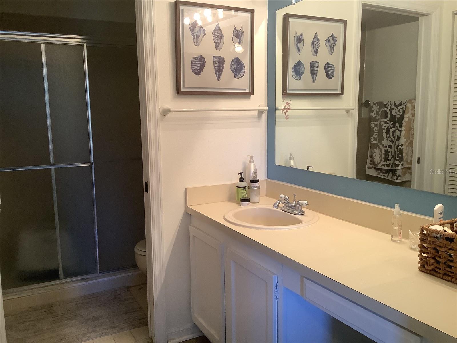 Master Bath and step in shower with pocket door water closet