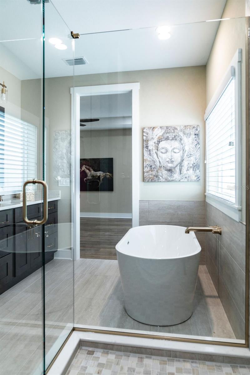 Upstairs Primary Bath Tub Area
