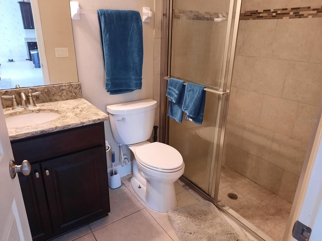 Full Downstairs Bath With Same Quartz Counter & Hardwood Cabinet