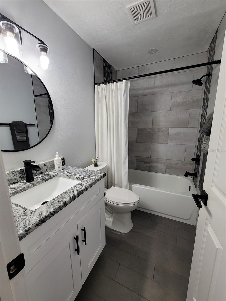 Guest bath, wait until you see the niche in the shower!