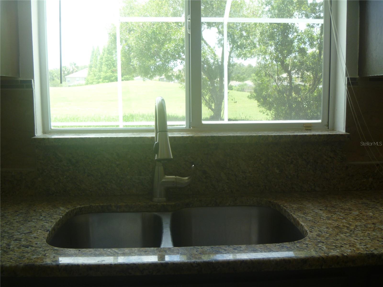 stainless steel sink and pull off faucet