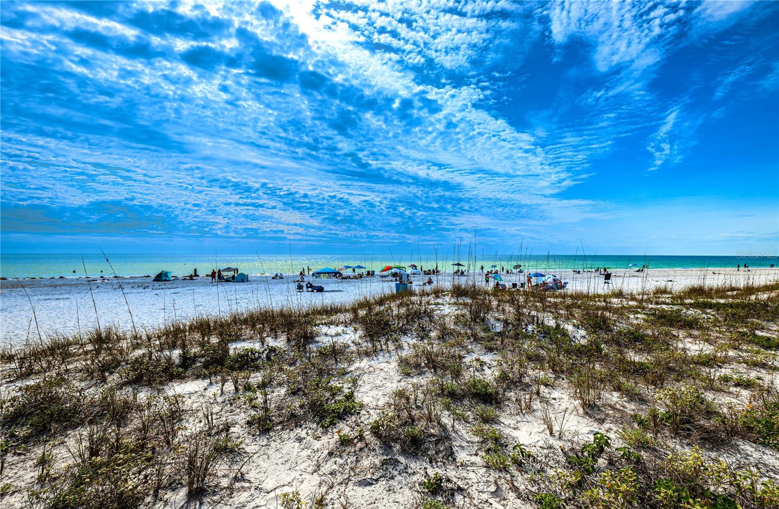 The sandy shores of the Gulf awaits you