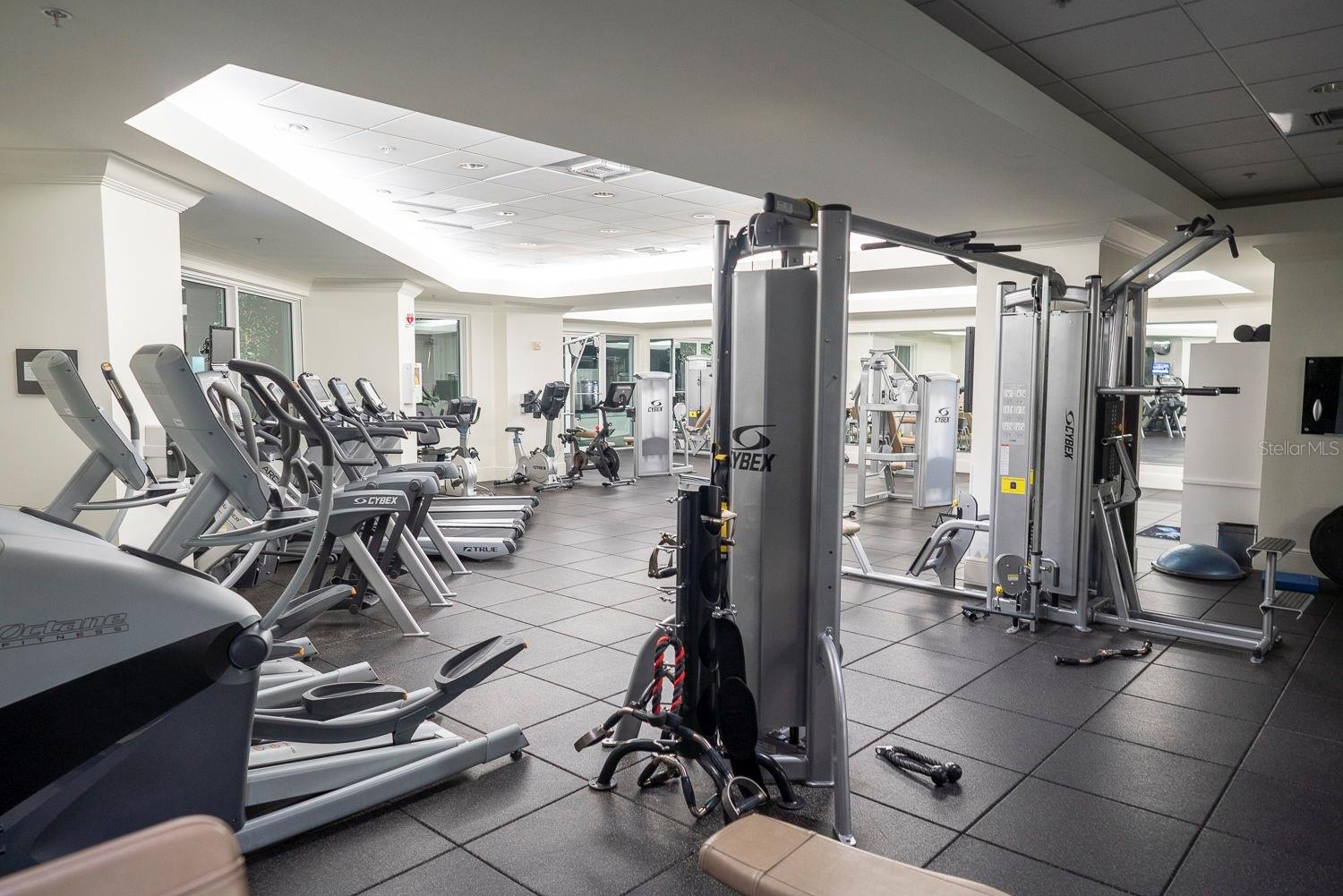 A glimpse at the state-of-the-art gym equipment made for various fitness routines.