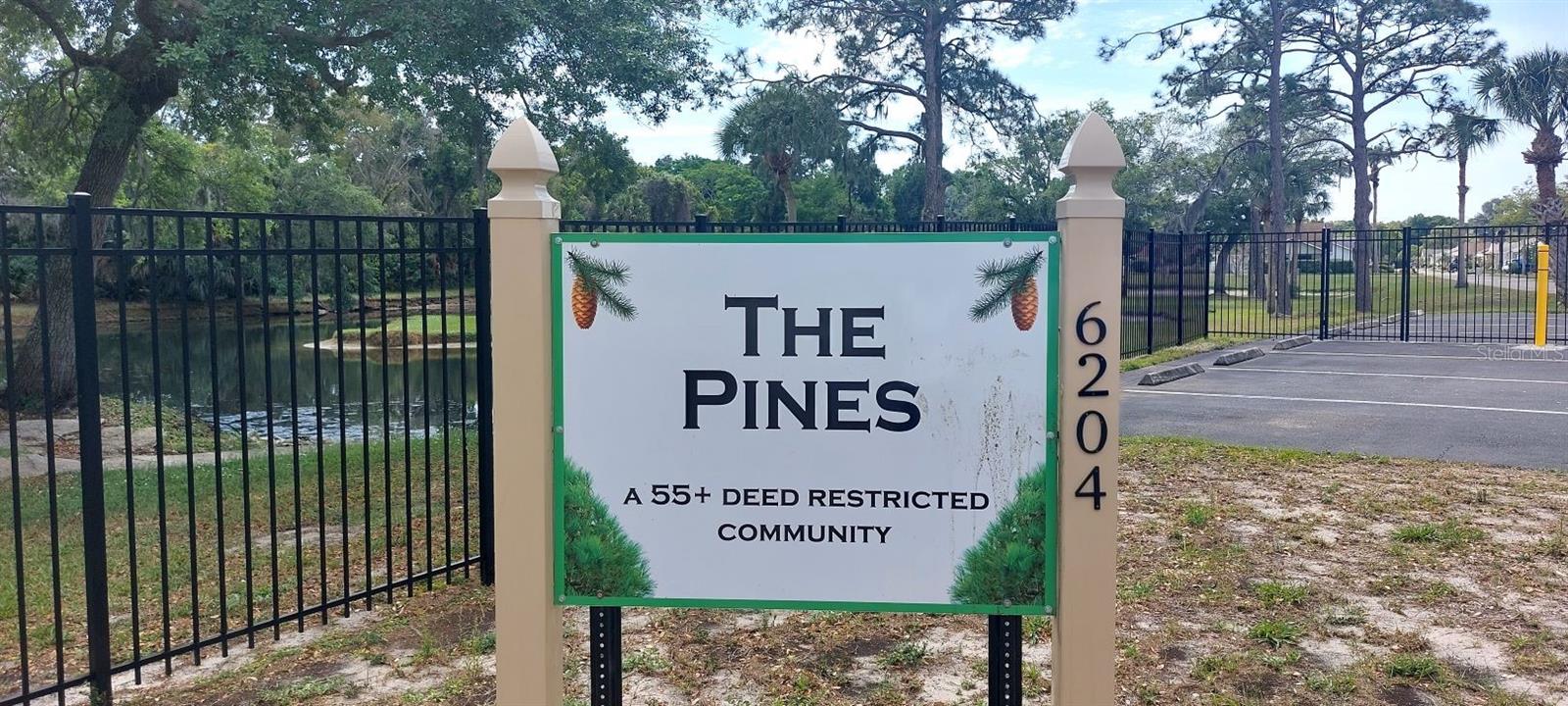Welcome to The Pines